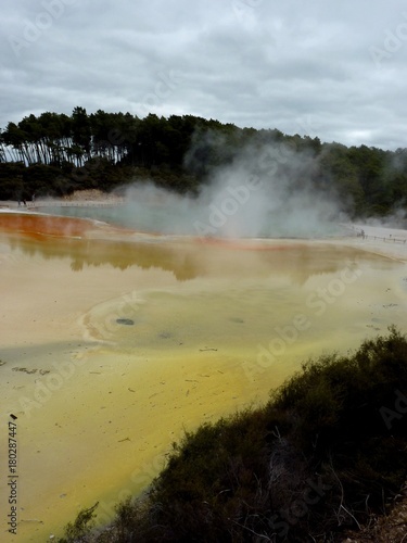 geotermal area park in Rotorua, New Zealand