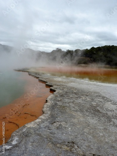 geotermal area park in Rotorua, New Zealand