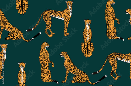 Seamless leopard in different poses pattern. Vector illustration