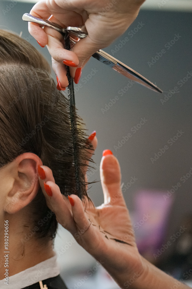The vertical view of Man at the hairdresser getting a haircut. Hairdresser  cuts hair with scissors and comb on head of fair-haired client Stock Photo  | Adobe Stock