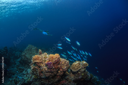 Underwater sport, snorkeling travel activity, coral reef, deep blue water