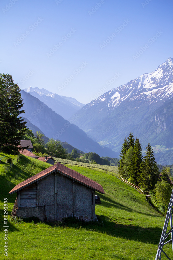 Idyllic landscape in the Alps