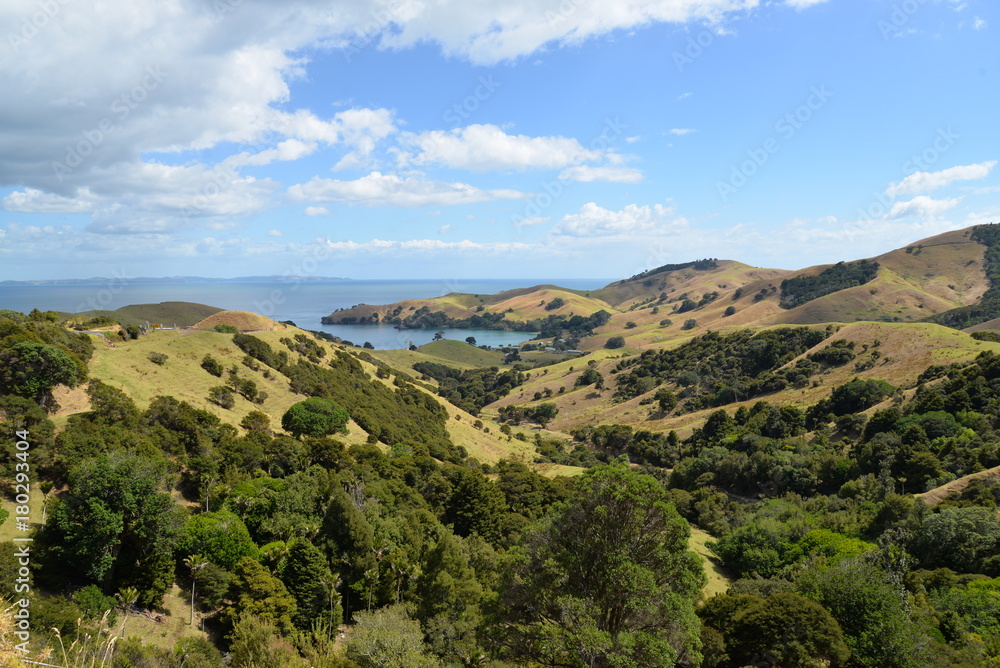 Coromandel - New Zealand