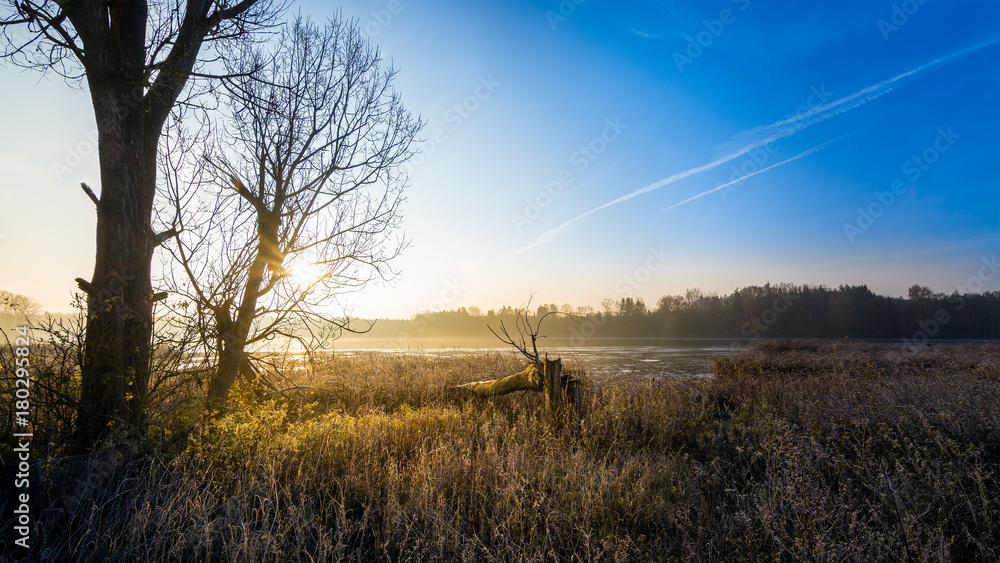 Fototapeta premium Idyllic morning landscape with a rising sun as background. Sunrise over the pond with silhouettes of trees against the blue sky.