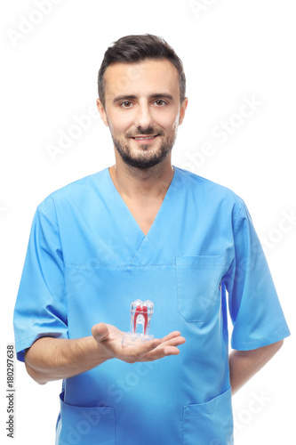 Male dentist holding tooth ...