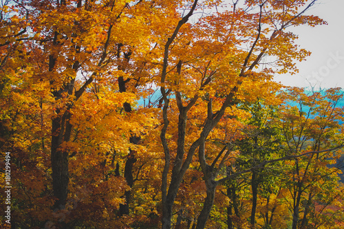 Mont Tremblant Fall Foliage © Andy Konieczny