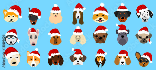 Set Different Breeds of Dogs in Hats of Santa Claus, Symbols New Year 2018