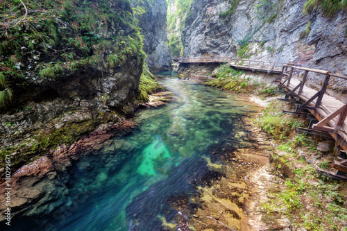 Vintgar Gorge Slovenia