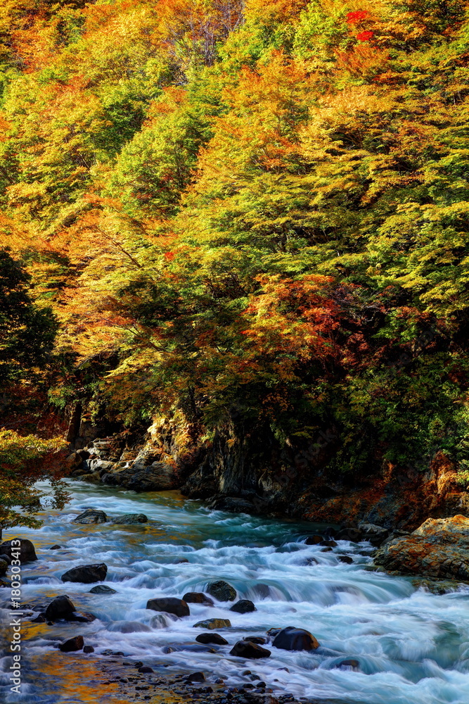 錦秋の秋山郷中津川渓谷