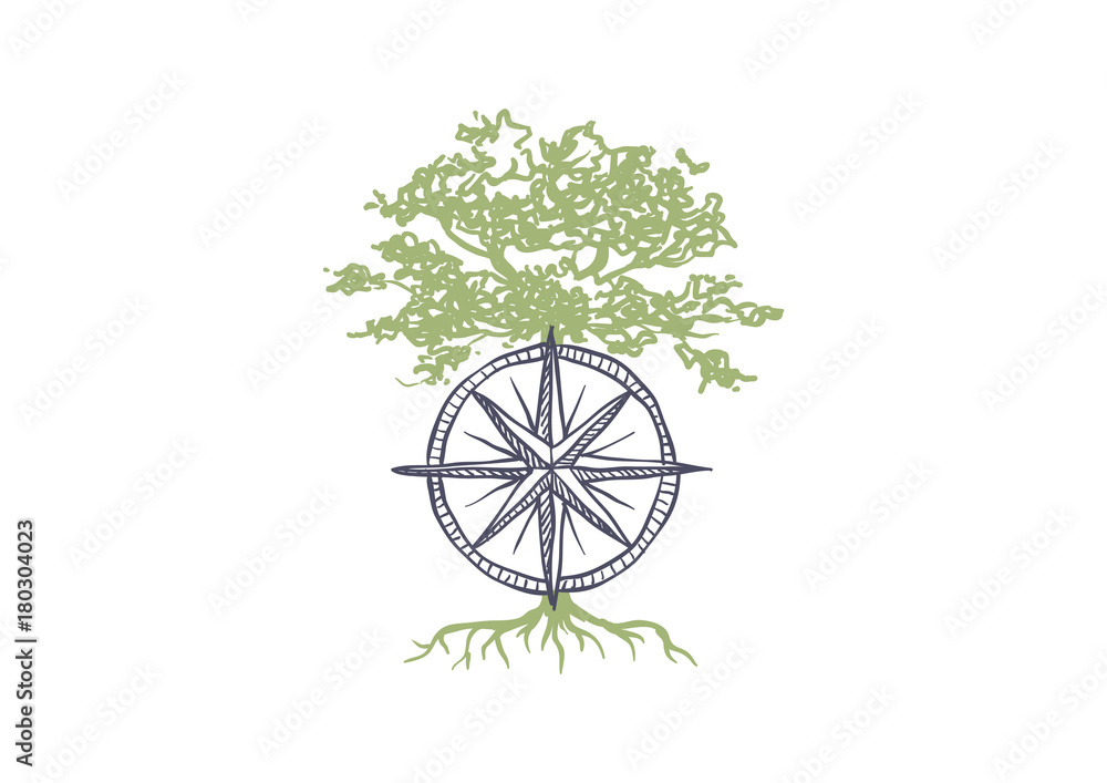 Fototapeta premium Compass and Tree