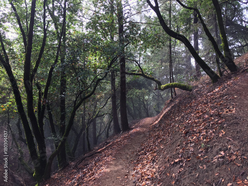 Austin Creek State Recreation Area - park encompassing an isolated wilderness area. Its includes ravines, grassy hillsides, oak-capped knolls, and rocky summits offering glimpses offering glimpses. photo