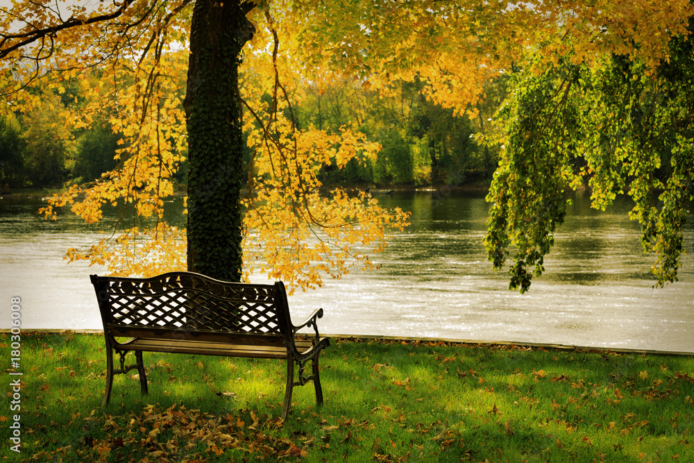Fototapeta premium Fall scenery.