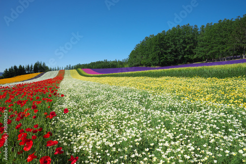 furano9