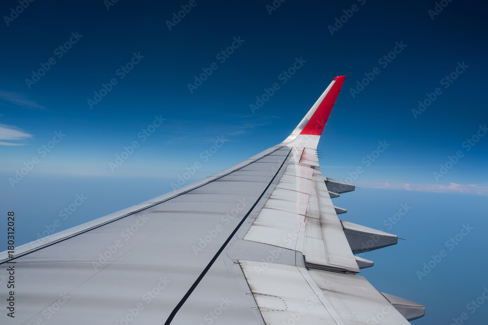Airplane wing and endless sky