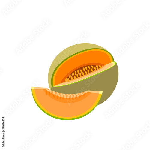 Summer fruits for healthy lifestyle. Cantaloup, whole fruit and slice. Vector illustration cartoon flat icon isolated on white. photo