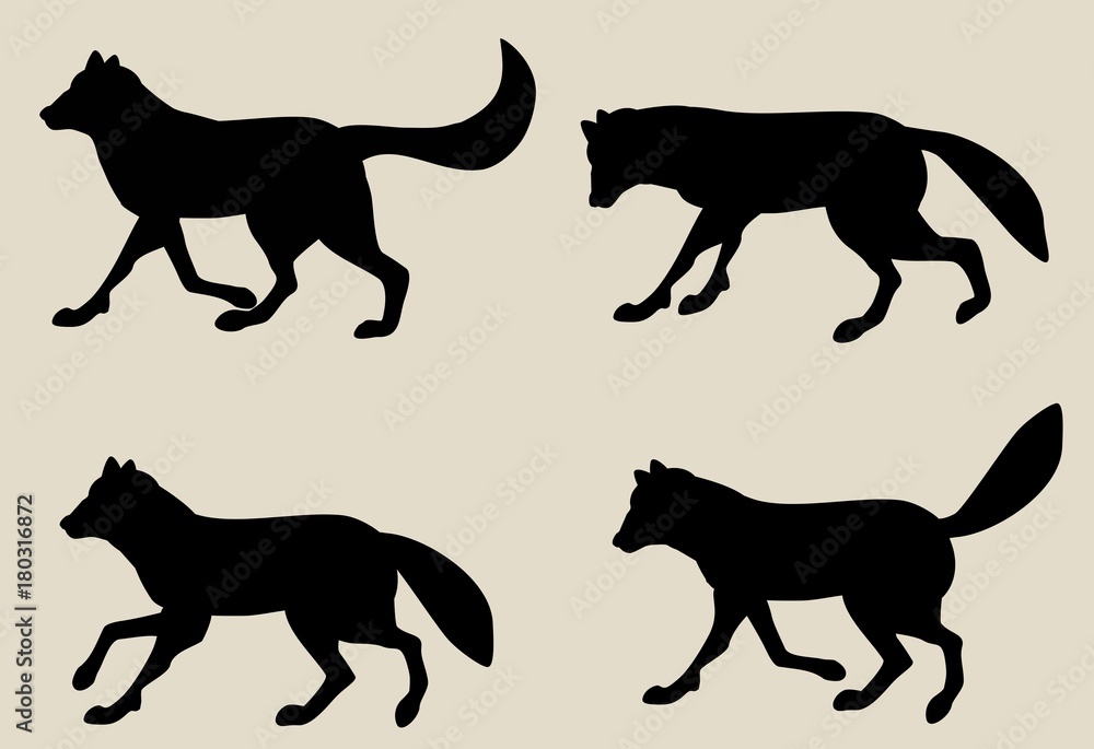 Set of Vector silhouettes of wolves, isolated on white
