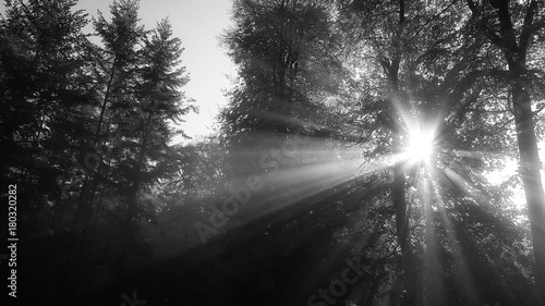 Fotografia Tot, Trauer - Hintergrundtextur