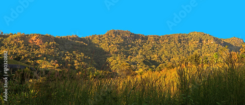 Panorama View of Mountain with Grass Foreground and Blue Sky