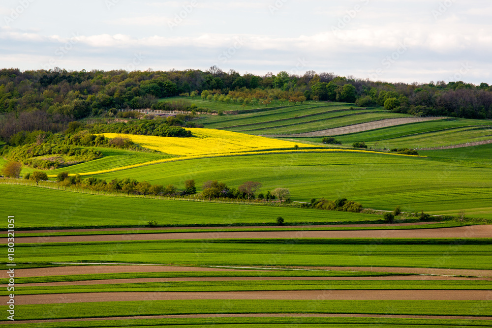 Fields in Austria landscape in spring