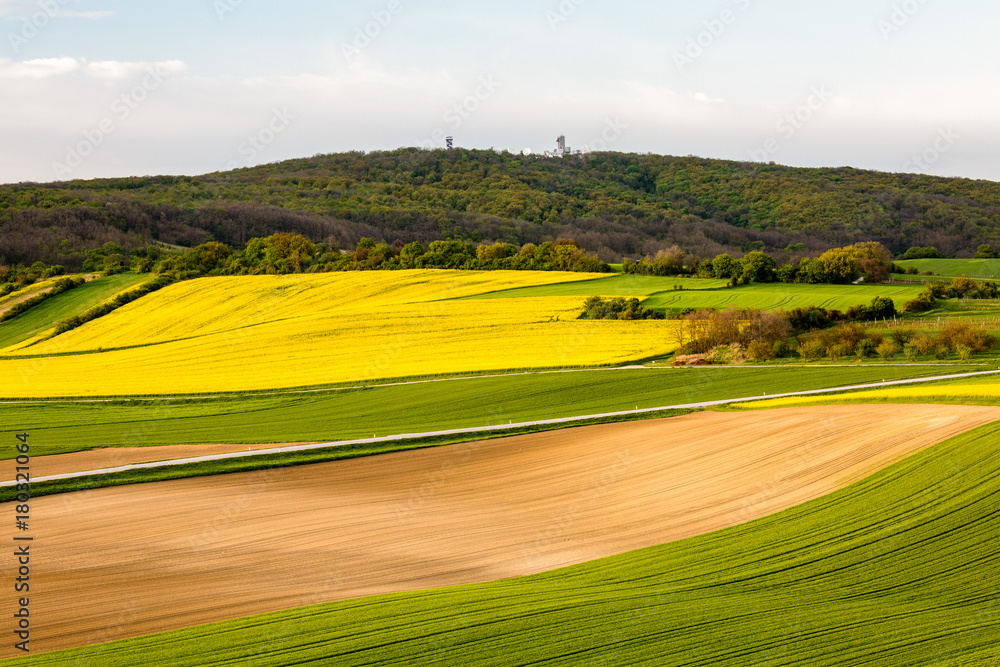 Fields in Austria landscape in spring