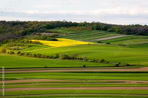 Fields in Austria landscape in spring