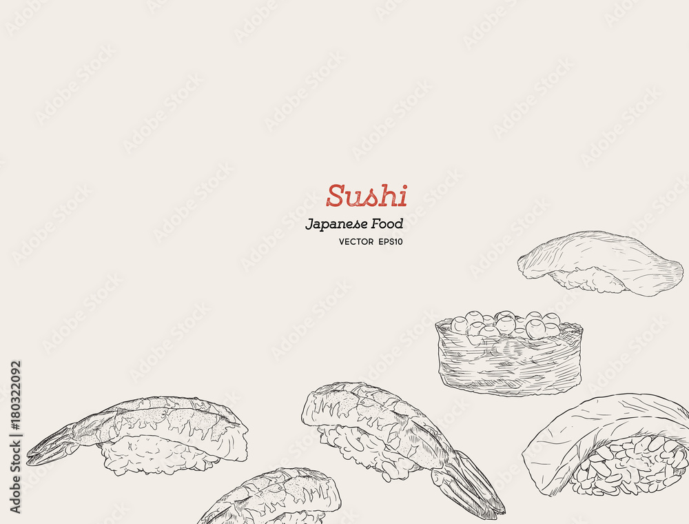 Sushi hand drawn illustration.