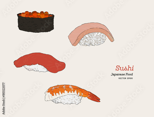 Sushi hand drawn illustration.