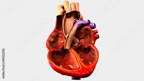 Fototapeta kuchenna Heart Intersection