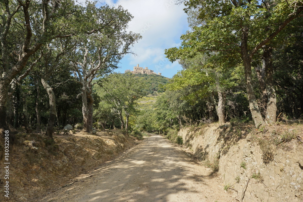 Path leading to Requesens castle at the top of the hill, la Jonquera, Alt Emporda, Girona, Catalonia, Spain