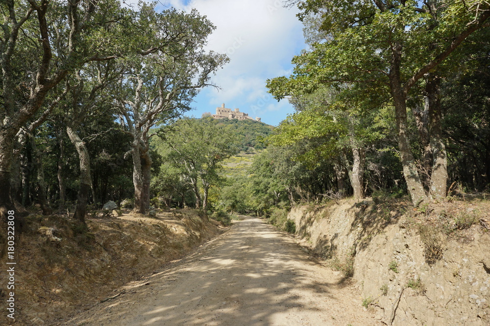 Path leading to Requesens castle at the top of the hill, la Jonquera, Alt Emporda, Girona, Catalonia, Spain Path leading to Requesens castle at the top of the hill, la Jonquera, Alt Emporda, Girona, Catalonia, Spain