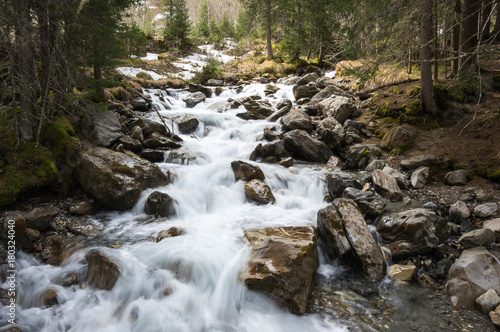 Mountain brook in Alps