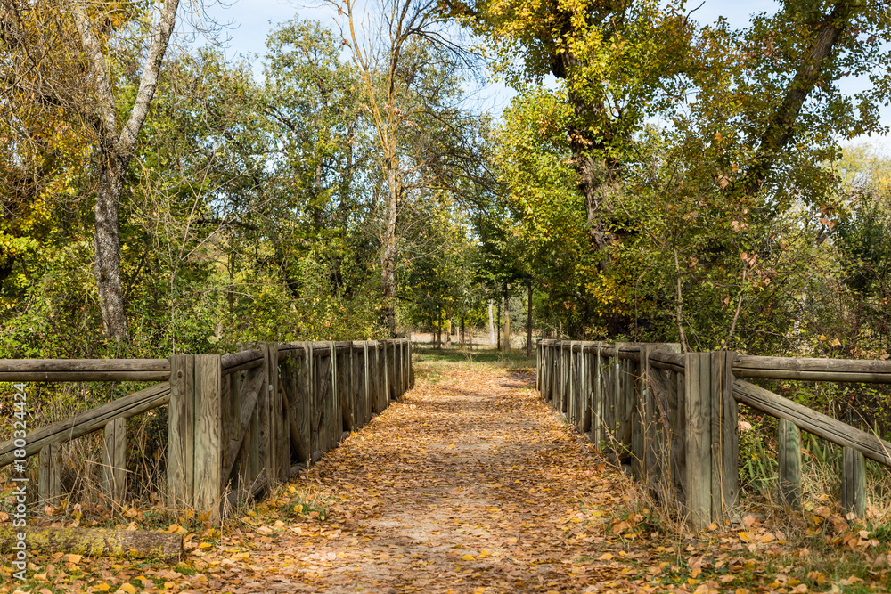 Autumn landscape in madrid country house