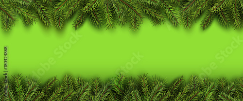 Christmas background green fir tree branches on green