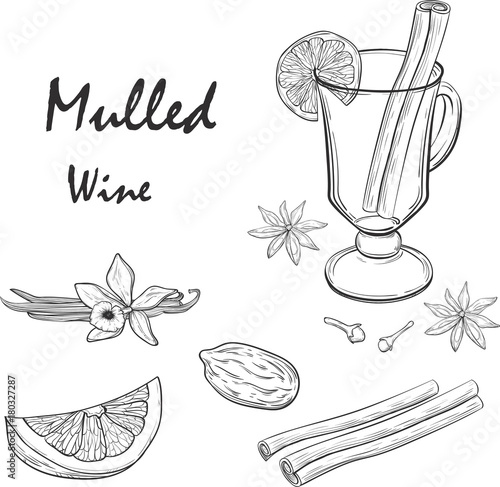 Mulled Wine and spices, orange, apple, cinnamon, carnation, anise, vanilla, clove, ginger. Hand drawn vector Illustration. Set in sketch style. Classical winter drink.