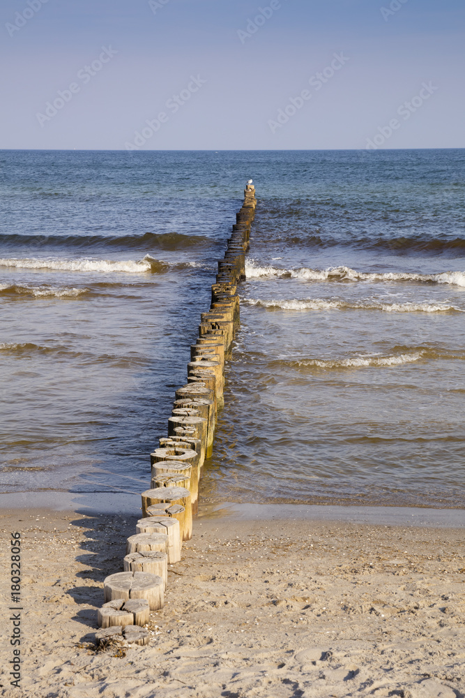 Buhnen an der Küste, Zingst, Mecklenburg-Vorpommern, Deutschland, Europa