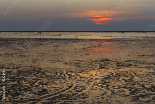 After sunset over sea shore and wetland with silhouette shell farm