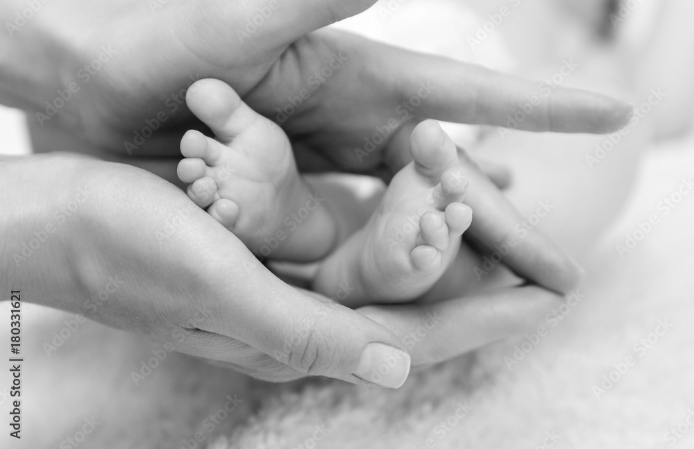 the legs of the baby in hands of mum B&W the legs of the baby in hands of mum B&W