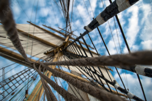 Bark Krusenstern, sails and ropes view from below.