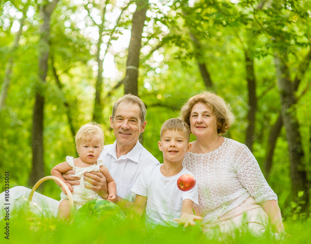 Fototapeta premium Grandparents have fun with grandchildren in nature