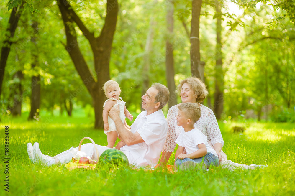 Happy family picnic. Grandparents having a picnic in nature with grandchildren Happy family picnic. Grandparents having a picnic in nature with grandchildren