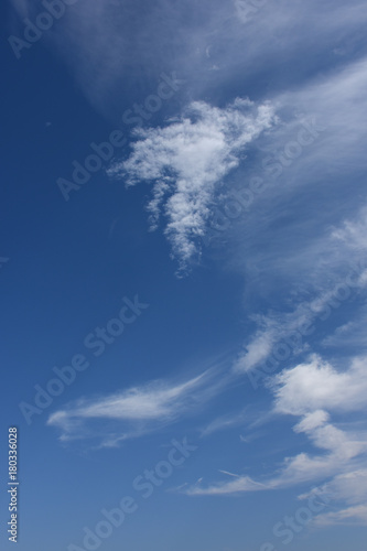  青空と雲「空想・雲のモンスターたち」