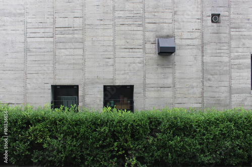 Photography Windows