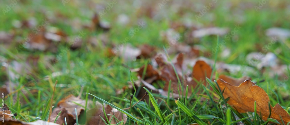 Obraz premium Herbst