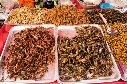 Disgusting food in Thailand