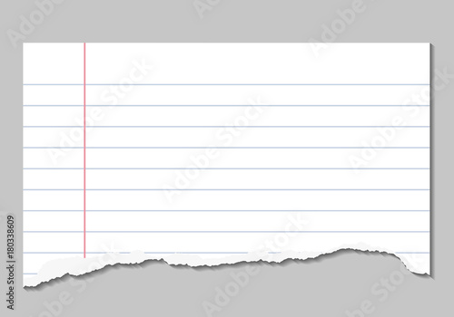 Vector realistic illustrations of torn page of notebook lined paper