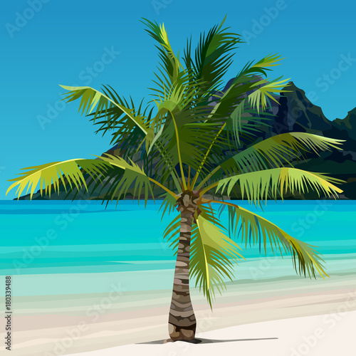 Fototapeta Naklejka Na Ścianę i Meble -  palm growing on tropical coast with the blue water