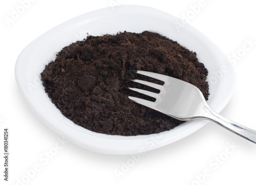 soil on plate photo