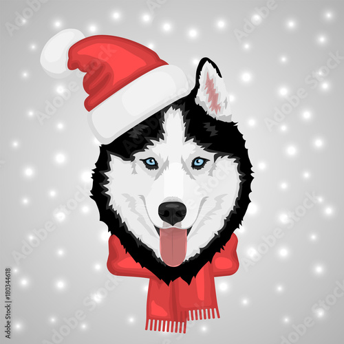 Dog portrait in a red Santa's hat. Black and white Siberian husky with blue eyes. Merry Christmas and Happy New Year. The dog is a symbol of 2018. Vector illustration