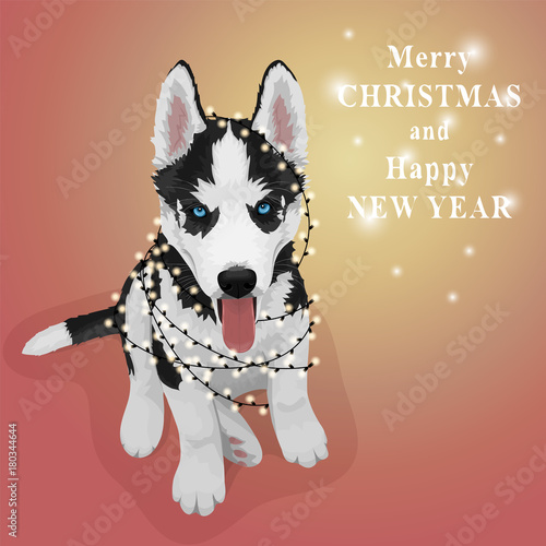 Puppy portrait with a Christmas garland. Black and white Siberian husky with blue eyes. Christmas and New Year greeting card. The dog is a symbol of 2018. Vector illustration