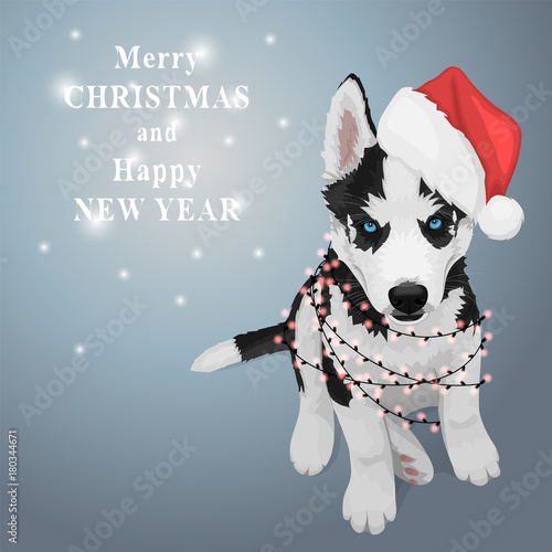 Puppy portrait in a red Santa's hat. Black and white Siberian husky with blue eyes. Christmas and New Year greeting card. The dog is a symbol of 2018. Vector illustration
